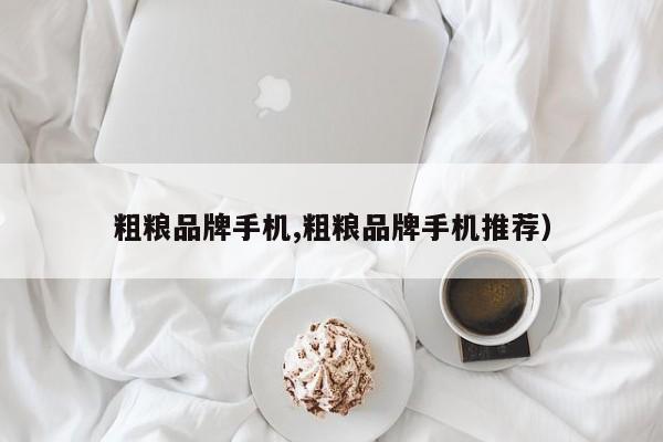 粗粮品牌手机,粗粮品牌手机推荐)
