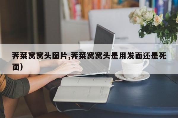 荠菜窝窝头图片,荠菜窝窝头是用发面还是死面)